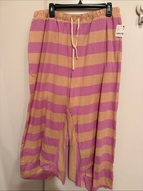 Free People Dakota Pants